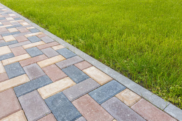 Best Driveway Pavers Near Me  in Momence, IL